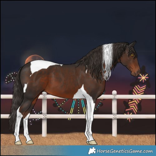 Horse Color:Liver Chestnut Tobiano 