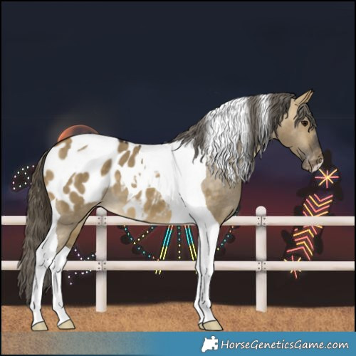 Horse Color:Buckskin Dun Tobiano Blanket 