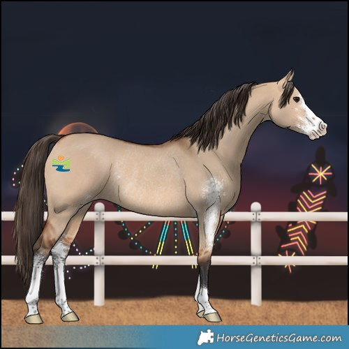 Horse Color:Bay Dun Sabino Varnish Rabicano 