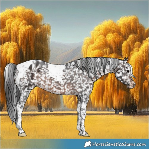 Horse Color:Brown Tobiano Snowflake Varnish 