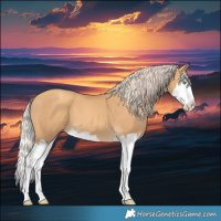 Horse Color:Gold Cream Champagne Splash 
