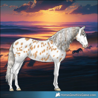 Horse Color:Palomino Splash Leopard 