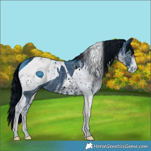 Horse Color:ERROR: UNKNOWN ANOMALY