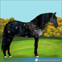 Horse Color:ERROR: UNKNOWN ANOMALY