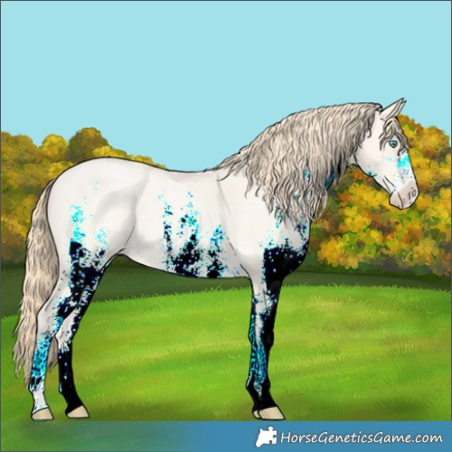 Horse Color:White Spotted Buckskin Roan Pearl 