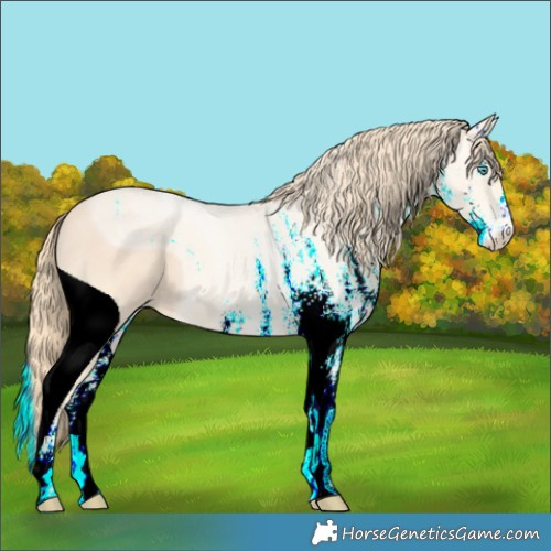 Horse Color:ERROR: UNKNOWN ANOMALY