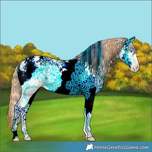 Horse Color:White Spotted Buckskin Pearl Dun 