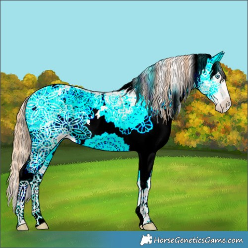 Horse Color:White Spotted Buckskin Pearl Dun 