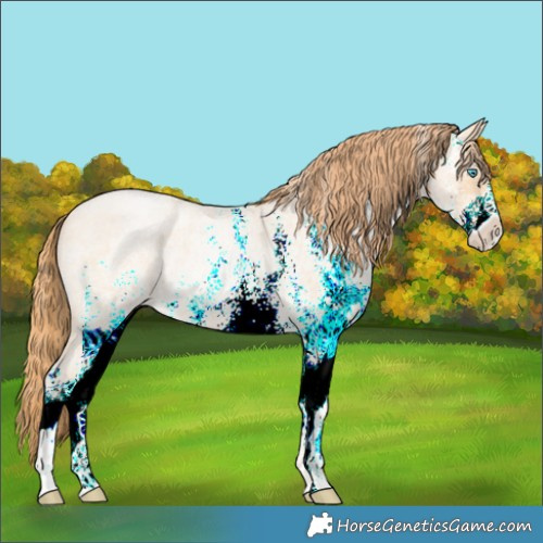 Horse Color:White Spotted Buckskin Roan Pearl 