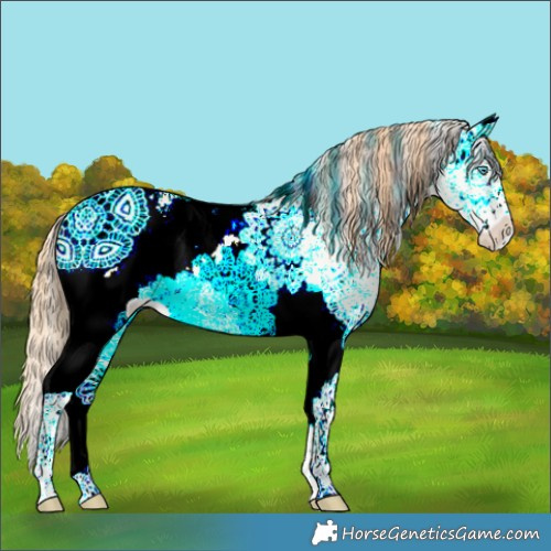 Horse Color:White Spotted Buckskin Pearl Dun 