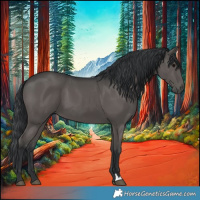 Horse Color:Black 