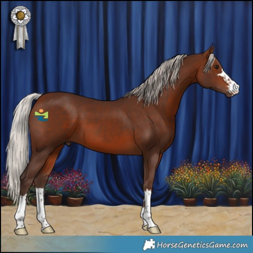 Horse Color:Silver Bay 
