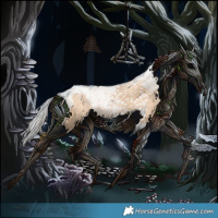 Horse Color:Silver Buckskin Pearl Splash Tobiano Rabicano