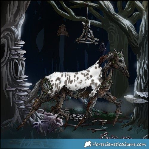 Horse Color:Grullo Tobiano Appaloosa 