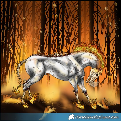 Horse Color:Silver Black Tobiano Appaloosa 