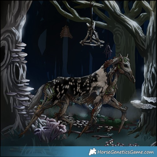 Horse Color:Void White Spotted Grullo Appaloosa 