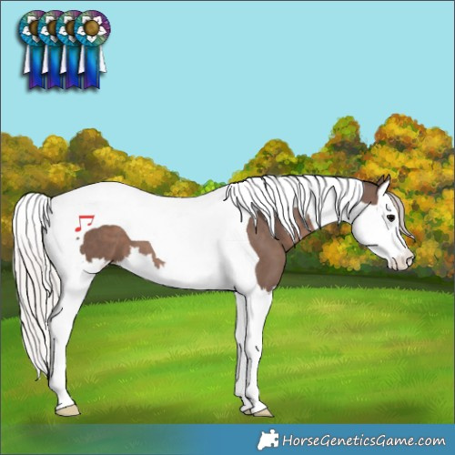 Horse Color:Silver Black Splash Tobiano 