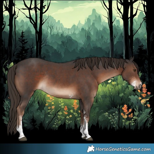 Horse Color:Liver Chestnut Sabino Rabicano 