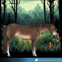 Horse Color:Liver Chestnut Sabino Rabicano 
