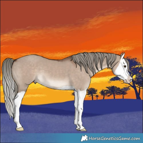 Horse Color:Liver Red Dun Mushroom Splash 