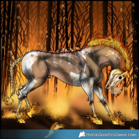 Horse Color:Powder White Bay Dun Splash Tobiano