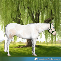 Horse Color:White Spotted Silver Perlino Tobiano
