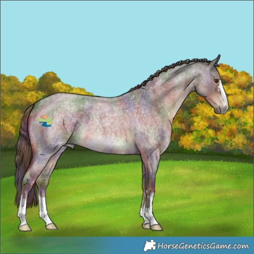 Horse Color:Nacre Liver Red Roan 