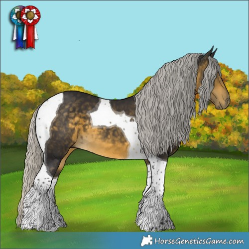 Horse Color:Silver Buckskin Tobiano 