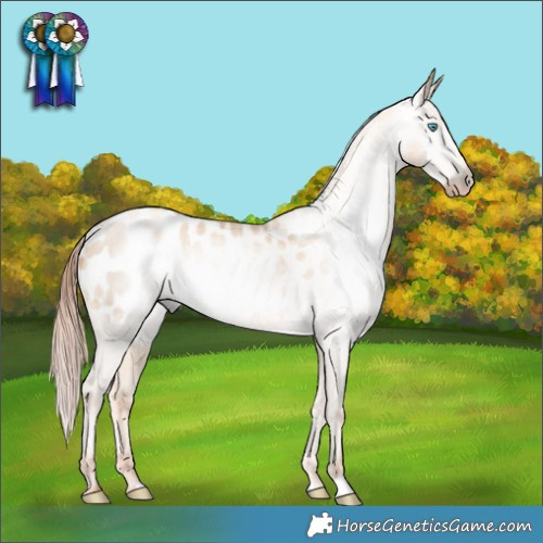 Horse Color:Gray Classic Cream Champagne Pearl Appaloosa Rabicano 