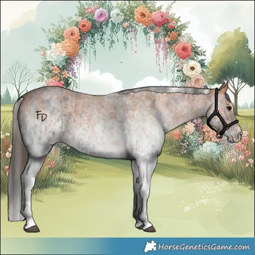 Horse Color:White Spotted Blue Roan Rabicano and White Spotted Bay Roan Rabicano