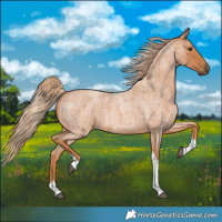 Horse Color:Red Roan Tobiano 