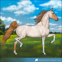 Horse Color:Red Roan Tobiano 