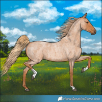 Horse Color:Red Roan Tobiano 