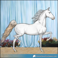 Horse Color:Chestnut Fewspot 