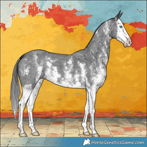 Horse Color:Black Sabino Splash 