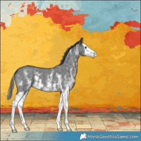 Horse Color:Black Sabino Splash 