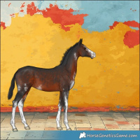 Horse Color:Brown Sabino 