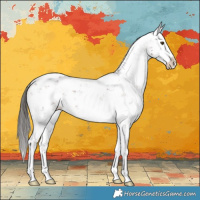Horse Color:Liver Chestnut Sabino Splash 