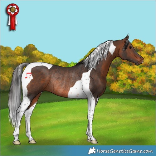 Horse Color:Brown Tobiano Rabicano 
