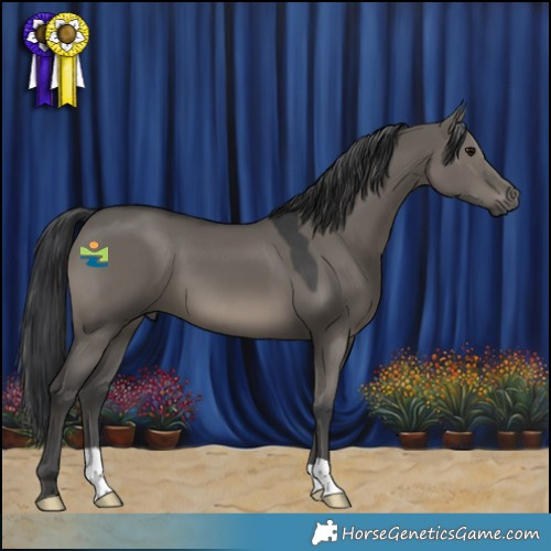 Horse Color:Grullo Mushroom 