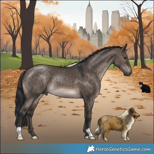 Horse Color:Brown Dun Mushroom 