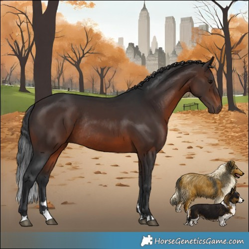 Horse Color:Brown Rabicano 