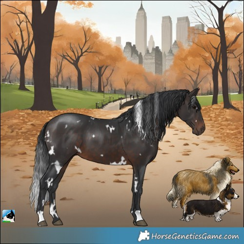 Horse Color:White Spotted Brown 