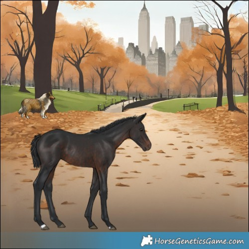 Horse Color:Brown Rabicano 