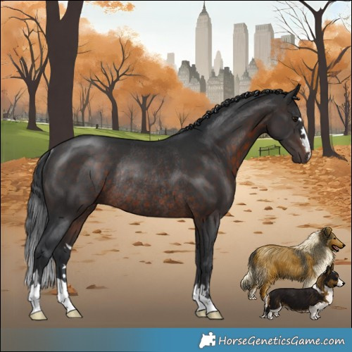 Horse Color:Brown Mushroom Rabicano