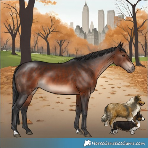 Horse Color:Brown Mushroom 