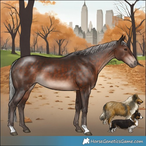 Horse Color:Silver Brown Mushroom 
