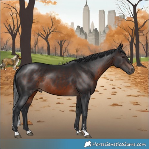Horse Color:Brown Mushroom Rabicano 
