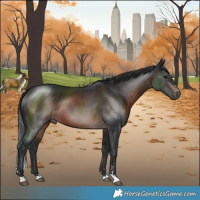 Horse Color:Brown Mushroom Rabicano