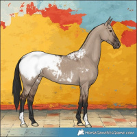 Horse Color:Liver Red Dun Appaloosa